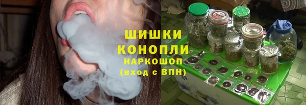 сатива Зеленокумск