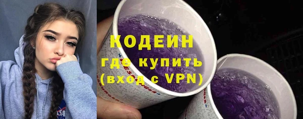 apvp Иннополис