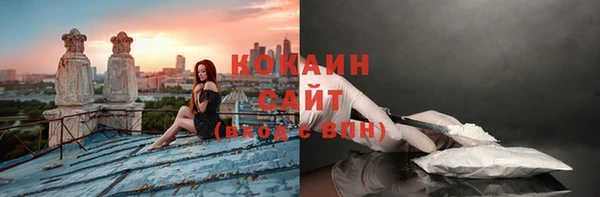 сатива Зеленокумск