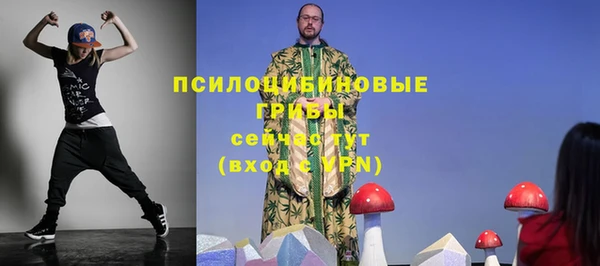 сатива Зеленокумск