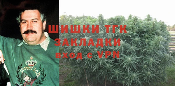 сатива Зеленокумск