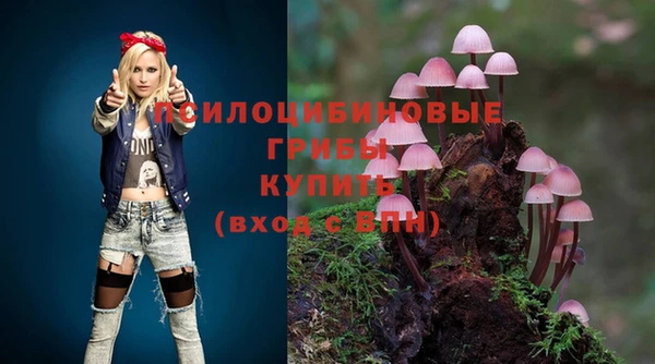 сатива Зеленокумск