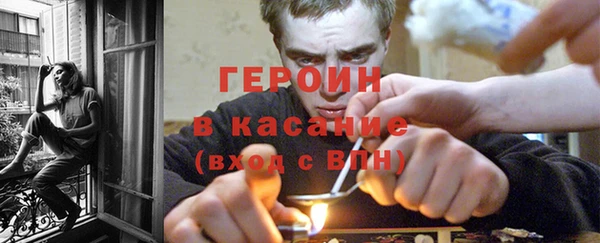 сатива Зеленокумск